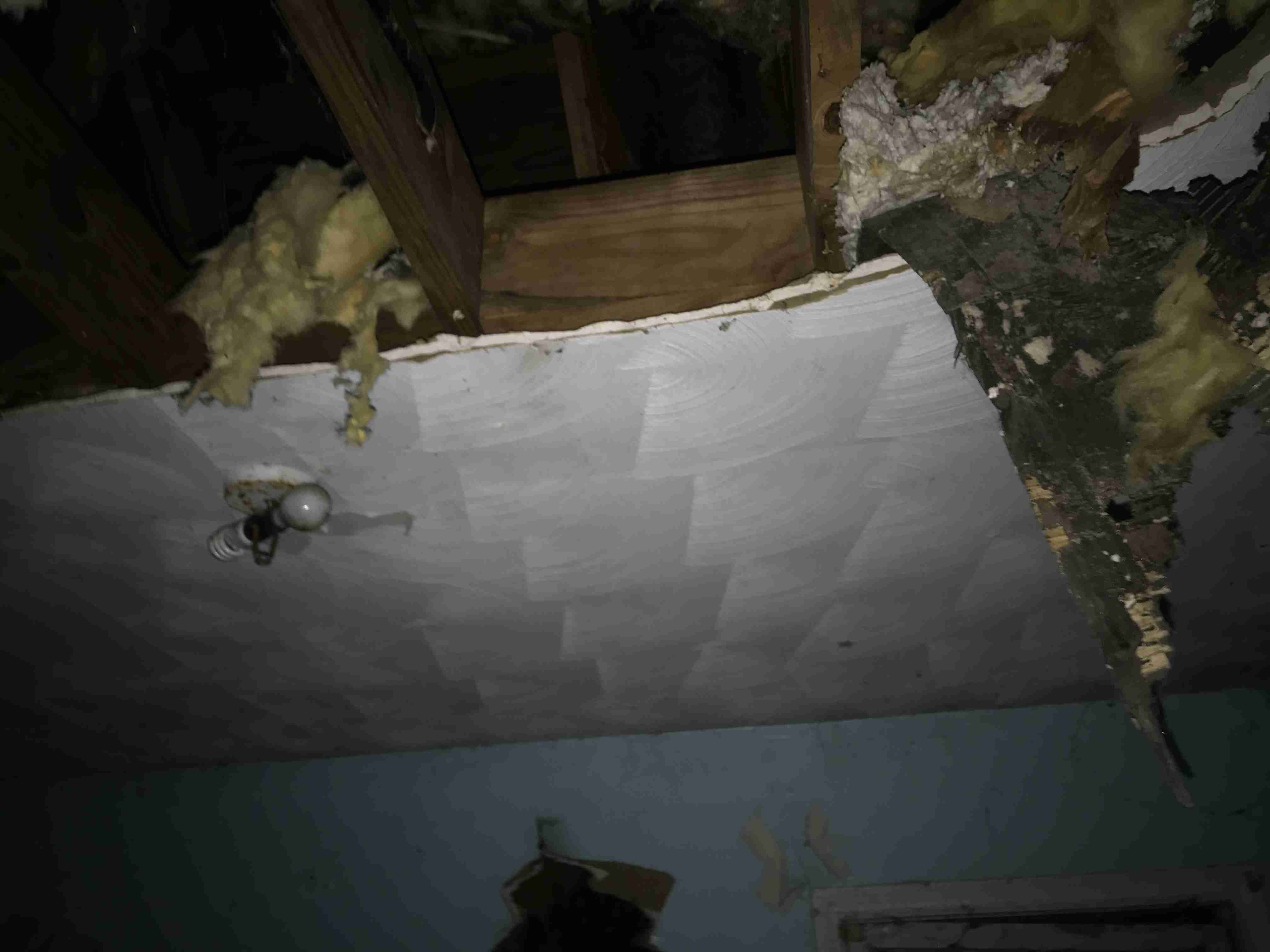 Photo Sep 10, 3 03 51 PM.jpg